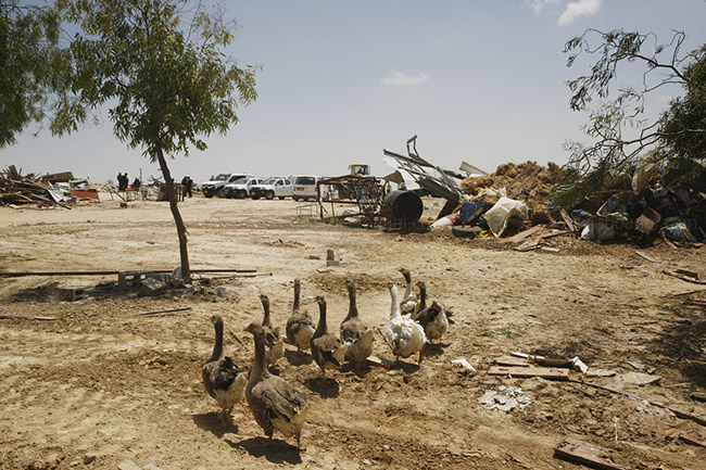 Demolition of Al Araqib 12 June 2014